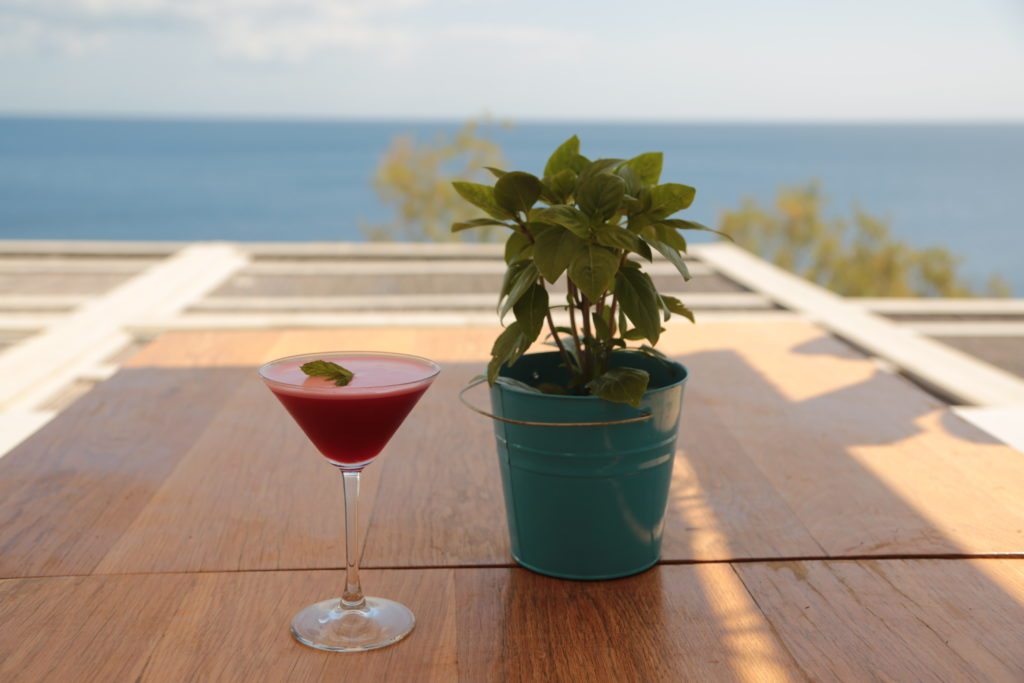 Pink cocktail in a martini glass next to a plant on a wooden table with the ocean in the background