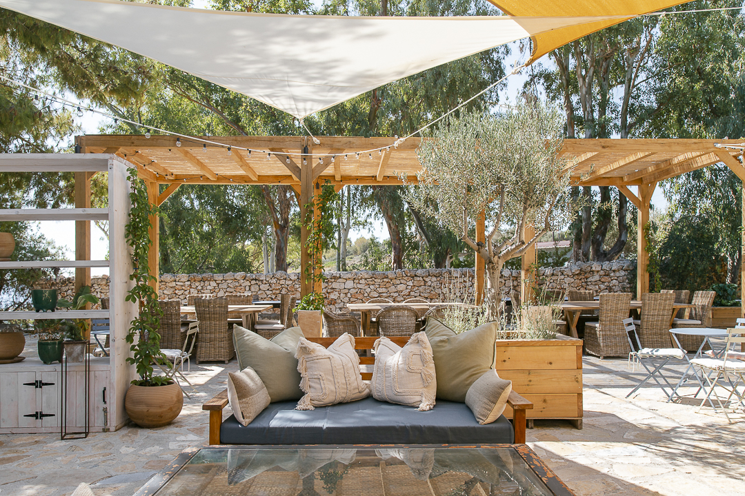 Beautiful courtyard with stylish seating and olive trees